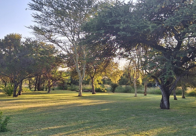 Thorn Tree Bush Camp 