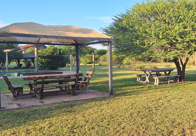 Thorn Tree Bush Camp 