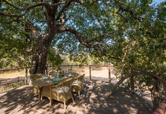 Thornybush River Lodge