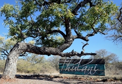 Thulani Game Lodge & Eco Estate