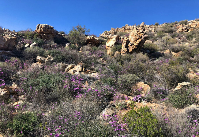 Tierkloof Mountain Cottages