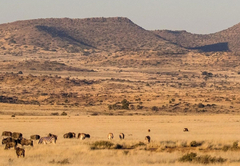 Tiger Canyon