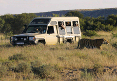 Game Drives