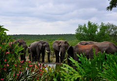 Tingala Lodge