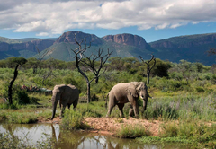 Tintswalo Waterberg