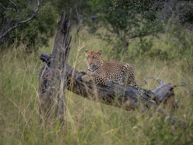 Tintswalo Waterberg