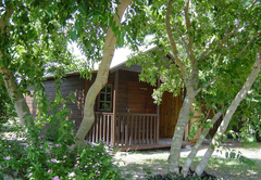 Toad Tree Cabins