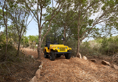 Mini Jeep for luggage 