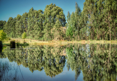 Trout Escape Farm