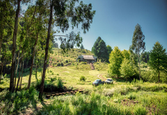 Trout Escape Farm