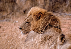 Tshukudu Game Lodge