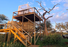 Tree House Experience