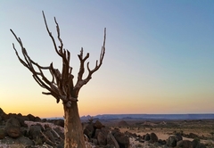 Tutwa Desert Lodge