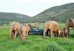 Kariega Ukhozi Lodge