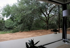 Ukuthula Cottages