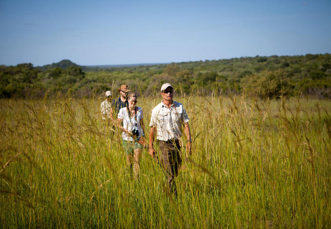 Safari walks