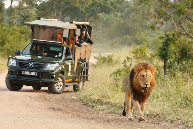 Umbhaba Eco Lodge