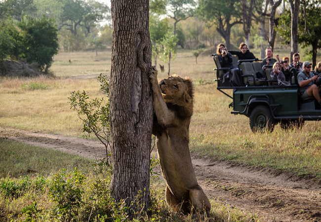 Umkumbe Safari Lodge