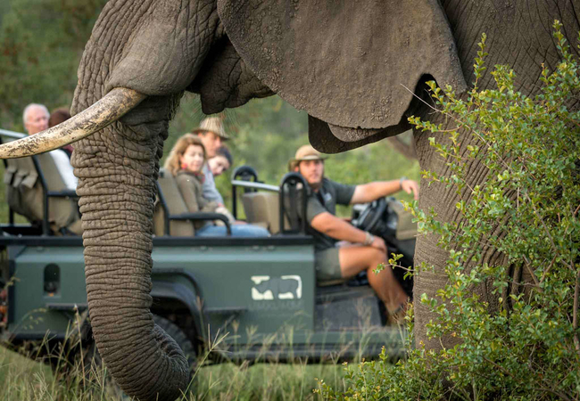 Umkumbe Safari Lodge