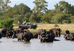 Umlani Bushcamp