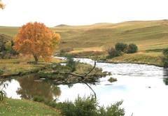 Umzimkulu Giant Cabin