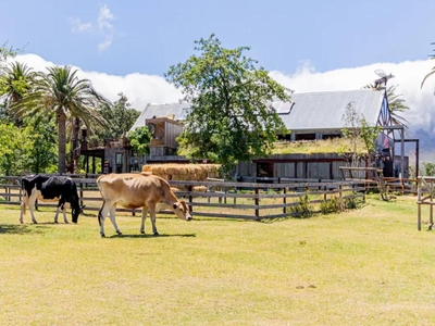 Unique Farm Stay