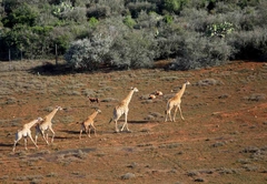 Valley Bushveld Country Lodge