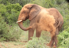 Valley Bushveld Country Lodge