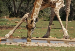 Valley Bushveld Country Lodge