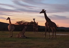 Valley Bushveld Country Lodge