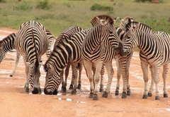 Valley Bushveld Country Lodge