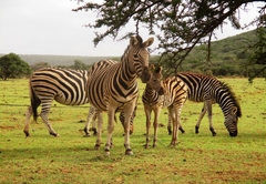 Valley Bushveld Country Lodge