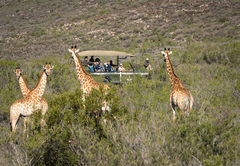 Melozhori Valley Pod