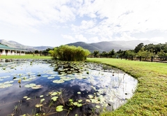 NATURAL POND