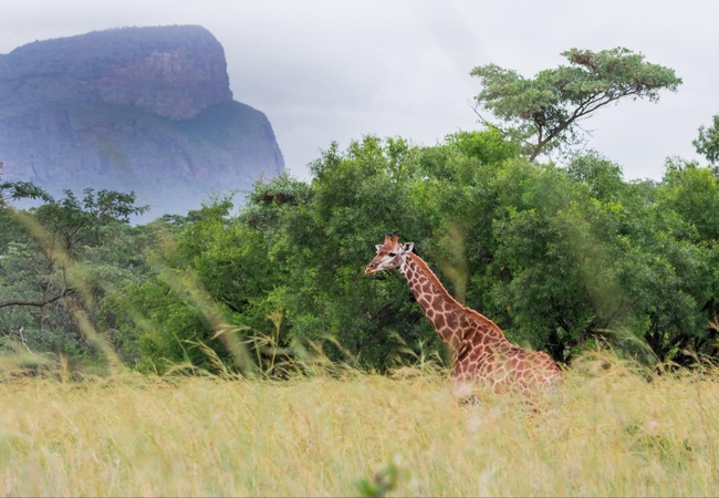 Vilagama Private Game Lodge