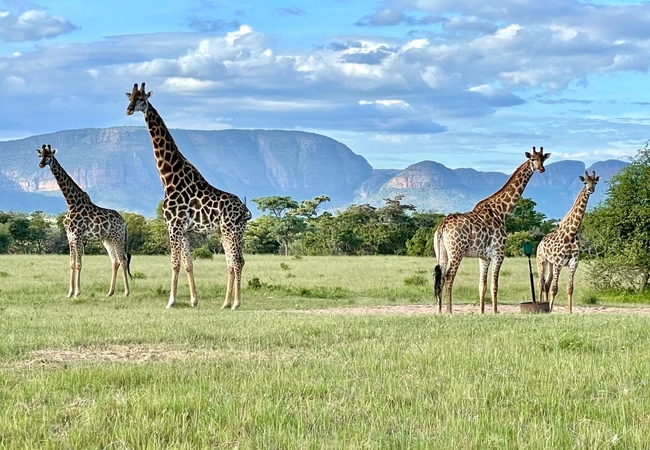 Vilagama Private Game Lodge