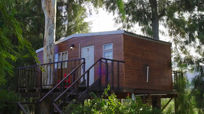 Luxury Tree Houses