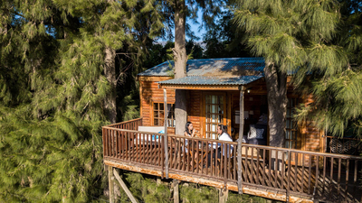 Luxury Tree Houses