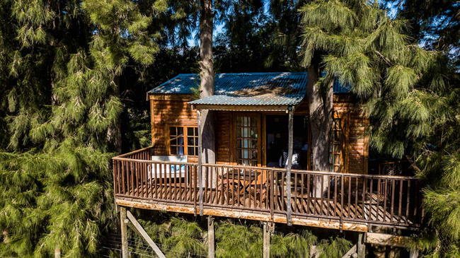 Luxury Tree Houses