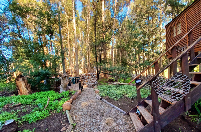 Honeymoon Tree House 