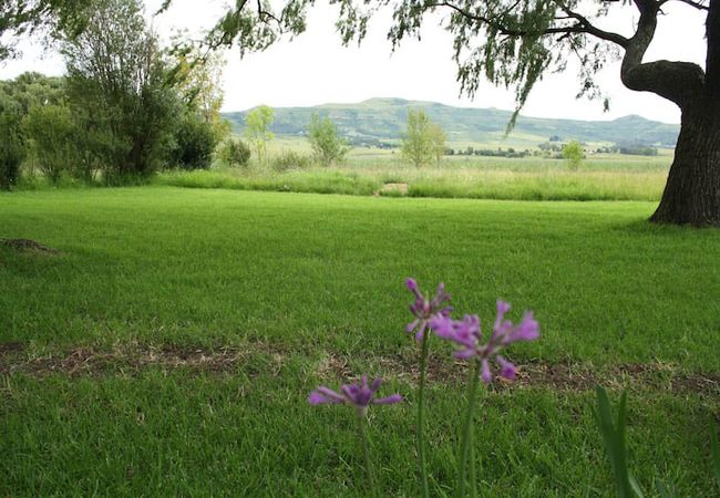 Vlei House