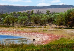 Vyge Valley Estate