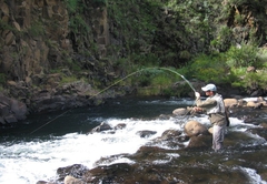 Flyfisherman