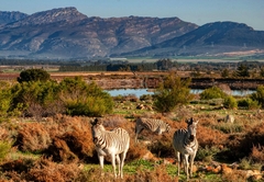 Welbedacht Nature Reserve