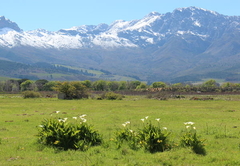 Welbedacht Nature Reserve