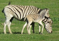 Welbedacht Nature Reserve