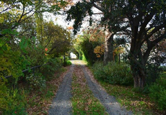 Wetlands Country House