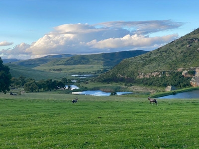 Wetlands Game Lodge