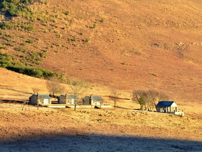 Wetlands Game Lodge