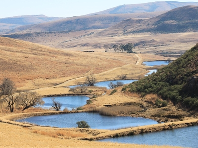 Wetlands Game Lodge